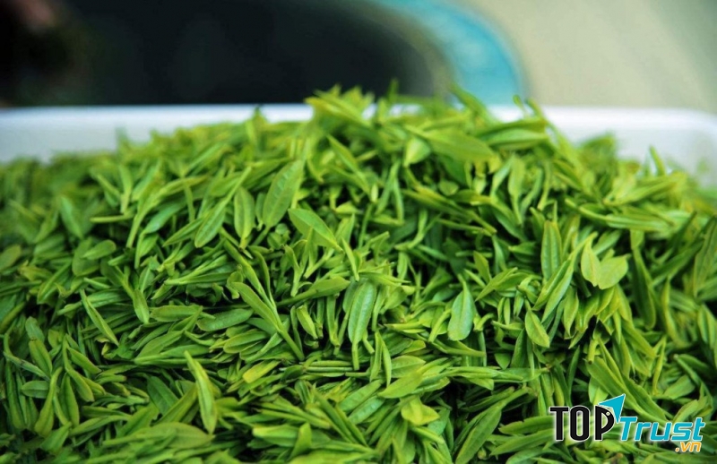 Trà xanh có chứa chất chống oxy hóa mạnh mẽ, giúp ngừa sự lây nhiễm Virus