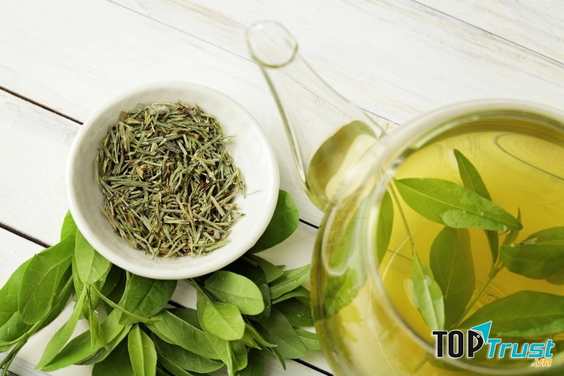 T﻿rà xanh là một trong số những nguyên liệu thiên nhiên chứa chất dinh dưỡng phòng ngừa sự lây nhiễm Virus Corona.