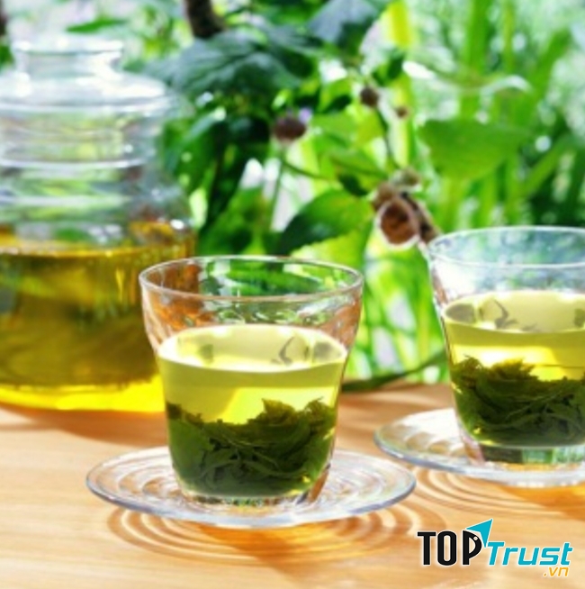 Trà xanh có tác dụng hỗ trợ chức năng gan, điều hòa hoạt động trong gan, giúp đào thải chất độc ra ngoài