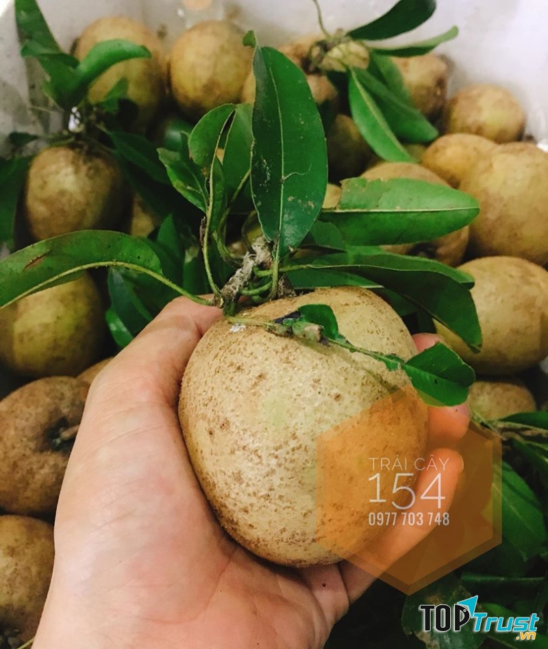 Trái cây 154