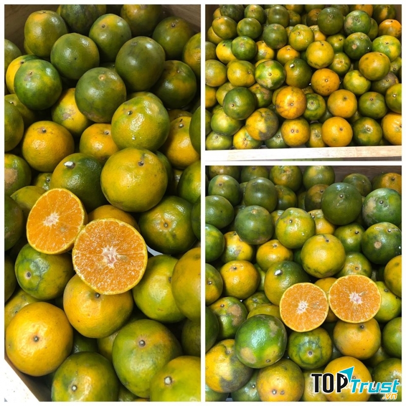 Trái Cây 3F Fruits