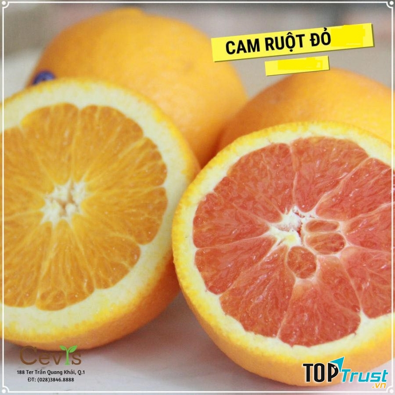 Trái Cây CEVIS