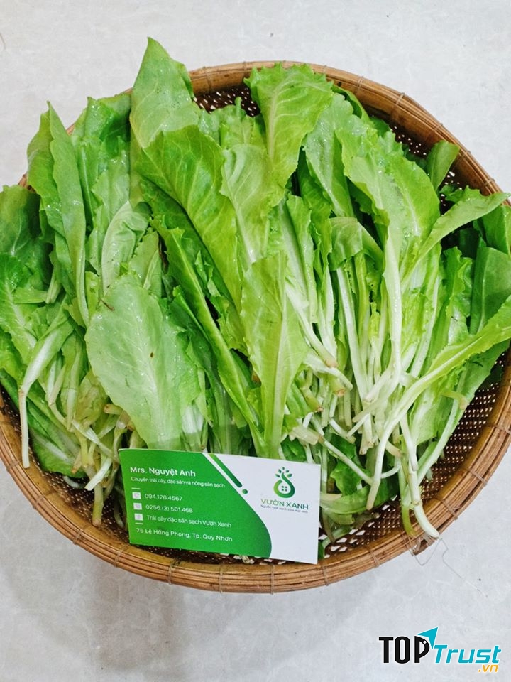 Trái cây đặc sản sạch Vườn Xanh