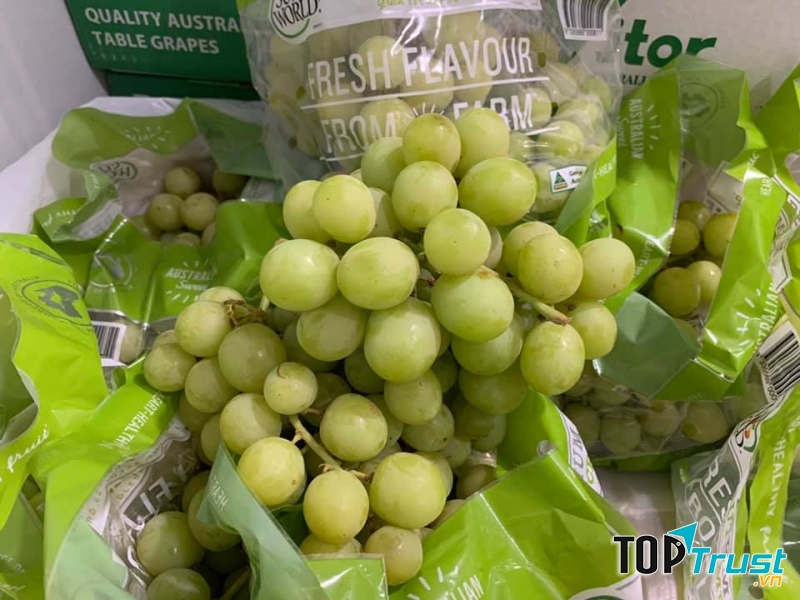 Trái Cây miền Nam