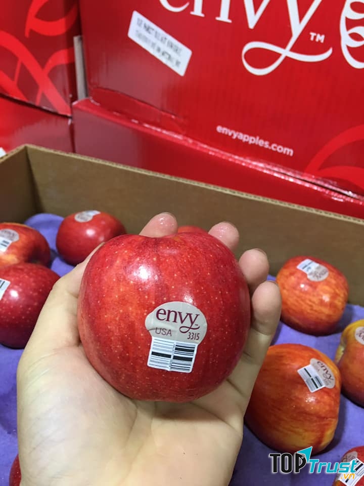 Trái Cây miền Nam