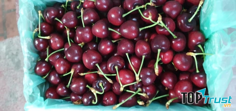 Trái cây ngoại nhập Khánh Ny