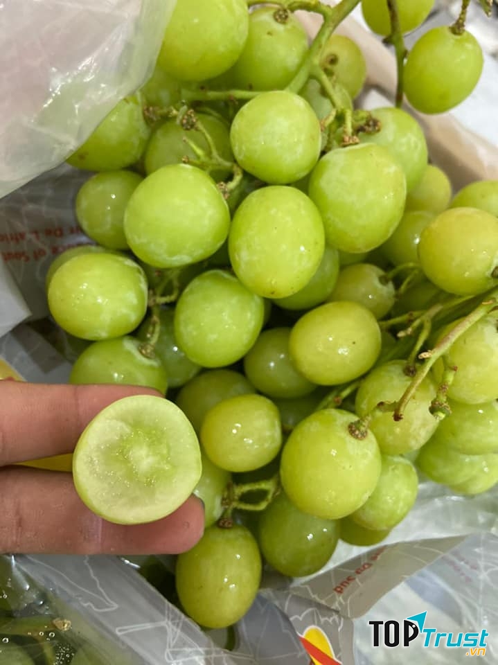 Trái Cây Nhập Khẩu 305