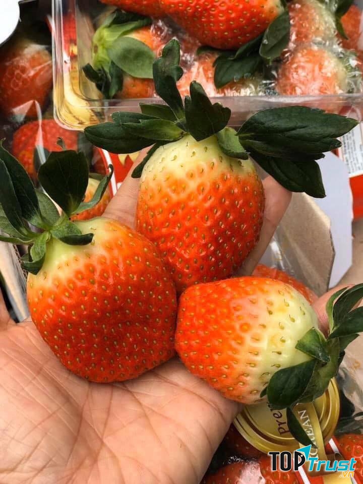 Trái cây nhập khẩu - Biên Hòa Fruits