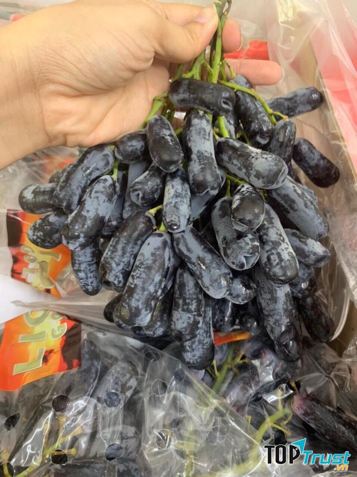 Trái cây nhập khẩu Biên Hoà Windy Fruits