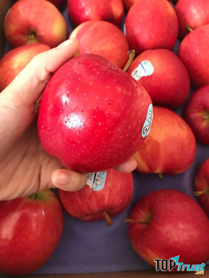 Trái cây nhập khẩu Biofruit