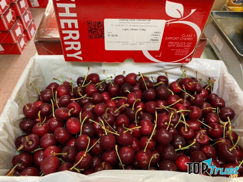 Trái cây Nhập khẩu Biovegi Miền Nam