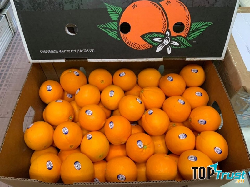 Trái cây Nhập khẩu Biovegi Miền Nam