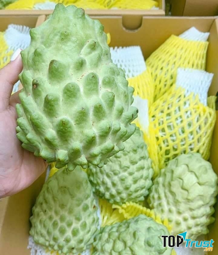 Trái cây nhập khẩu Đà Nẵng Envy