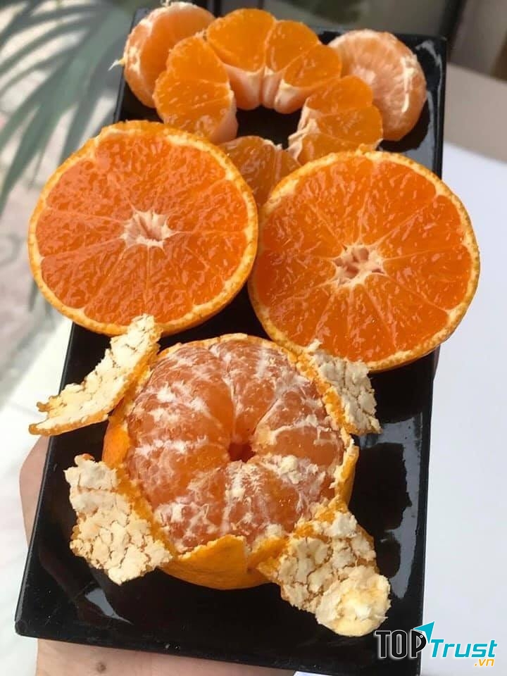 Trái cây nhập khẩu Đà Nẵng Envy