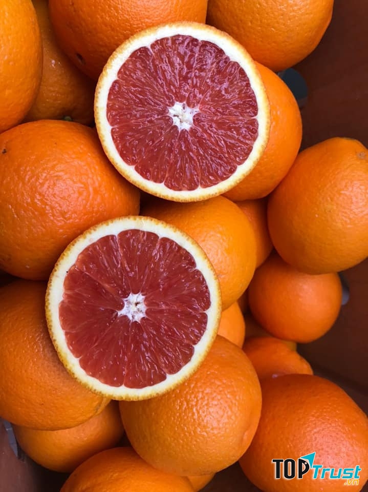 Trái Cây Nhập Khẩu DP FRUITS