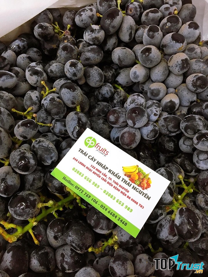 DP Fruits Thái Nguyên