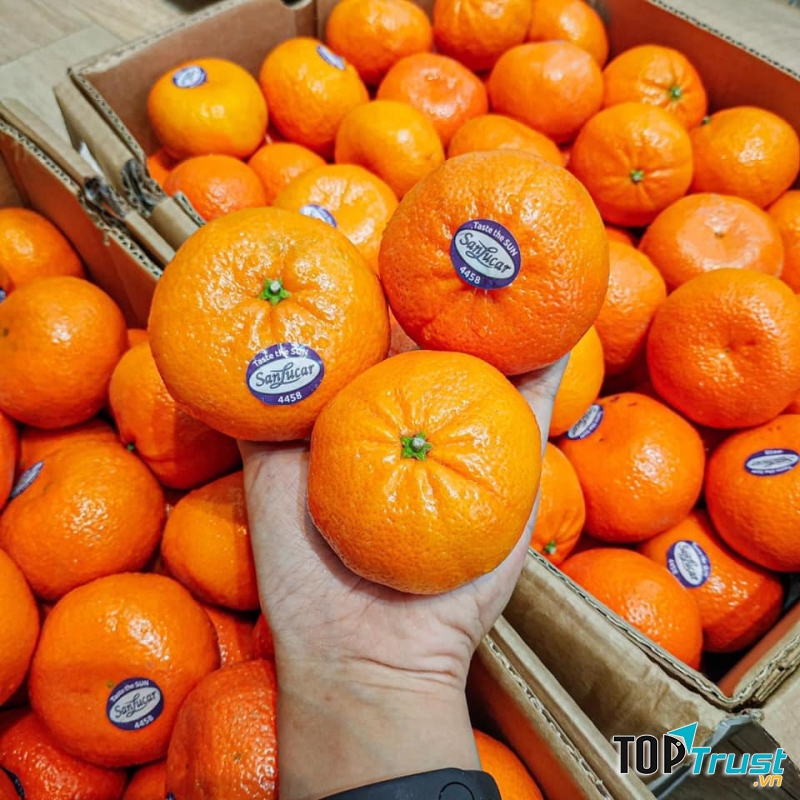 Trái cây nhập khẩu Dp Fruits Thanh hóa