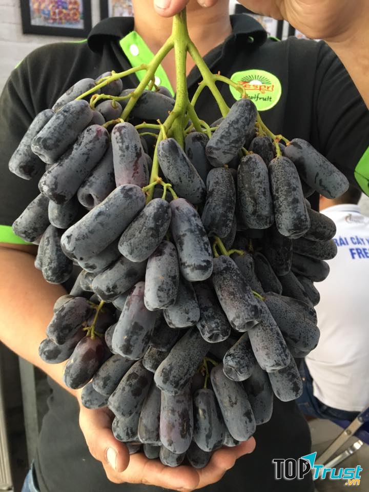 Trái cây nhập khẩu Fresta Vũng Tàu