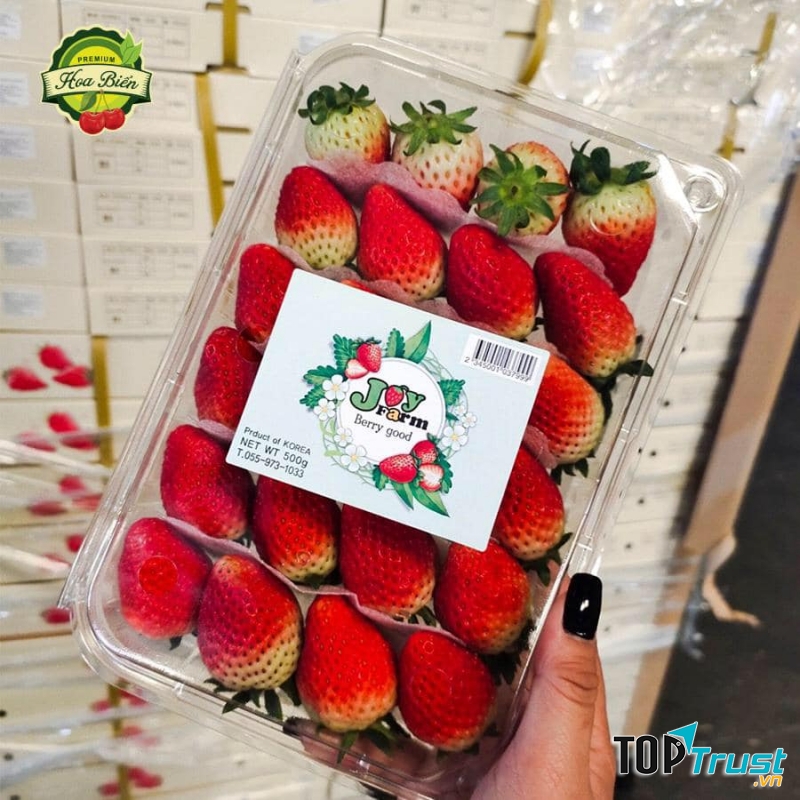 Trái cây nhập khẩu Hoa Biển