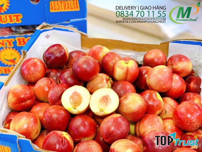 Trái Cây Nhập Khẩu - Minh Phuong Fruit