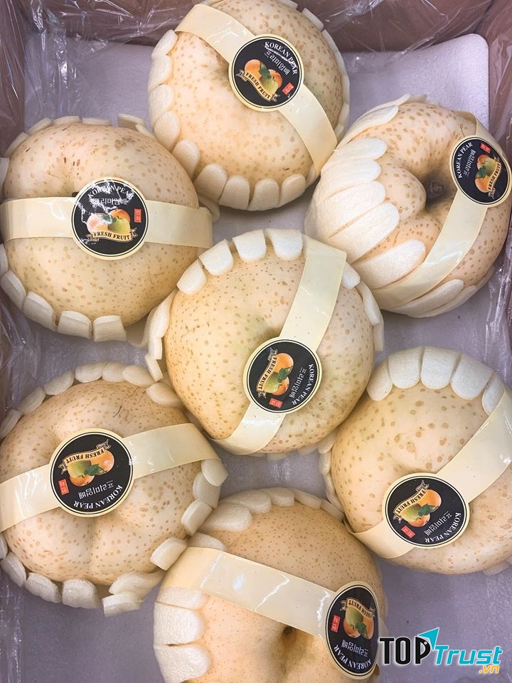 Trái cây nhập Phan Rang Efruit