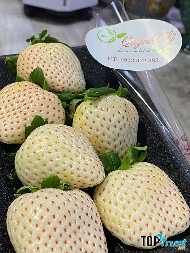 Trái Cây Quỳnh Thj