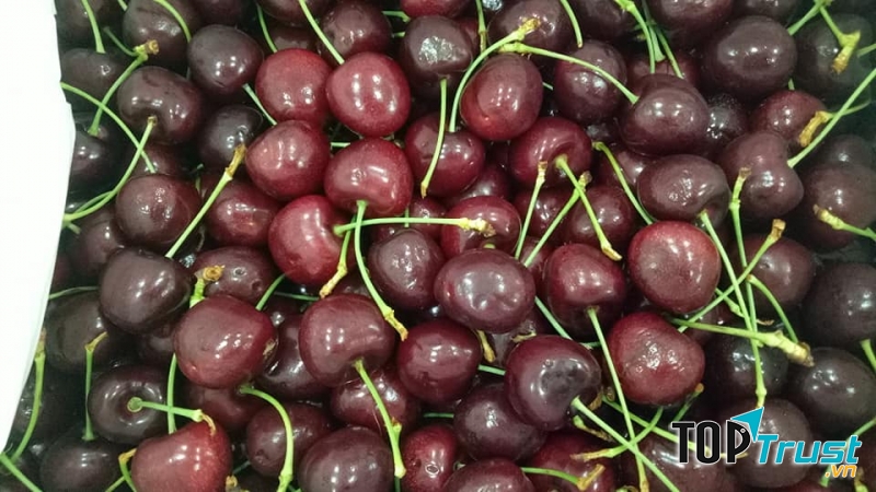 Trái Cây Sạch - An Fruits