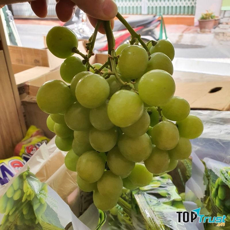 Trái Cây Sạch Đà Lạt