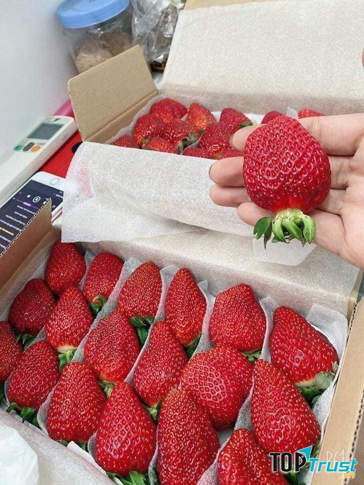 Trái Cây Sạch Nắng Farm