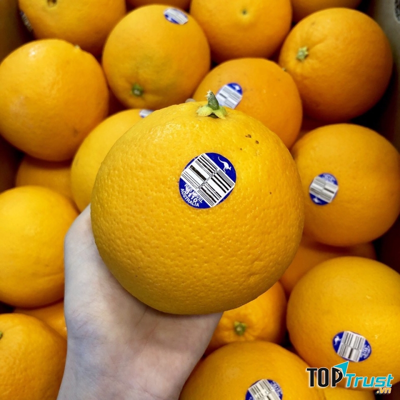 Trái Cây Sạch R.V FRUIT