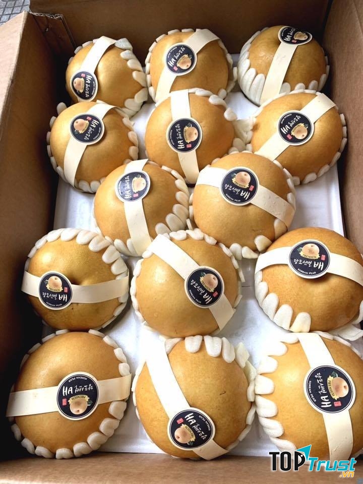 Trái Cây Sạch R.V FRUIT