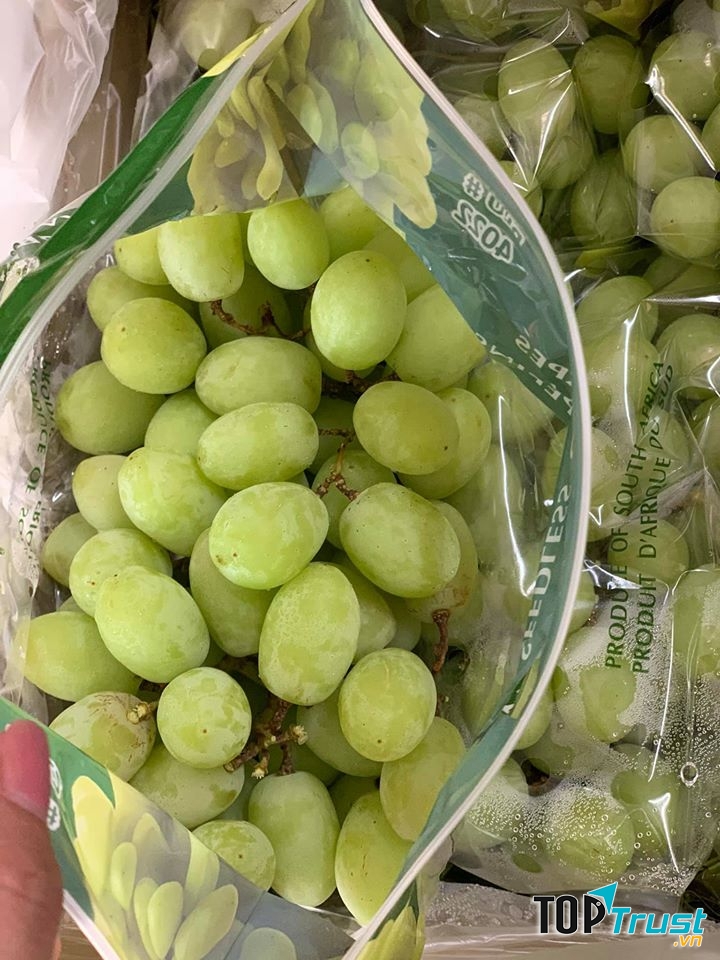 Trái Cây Sạch Sen Shop Vũng Tàu