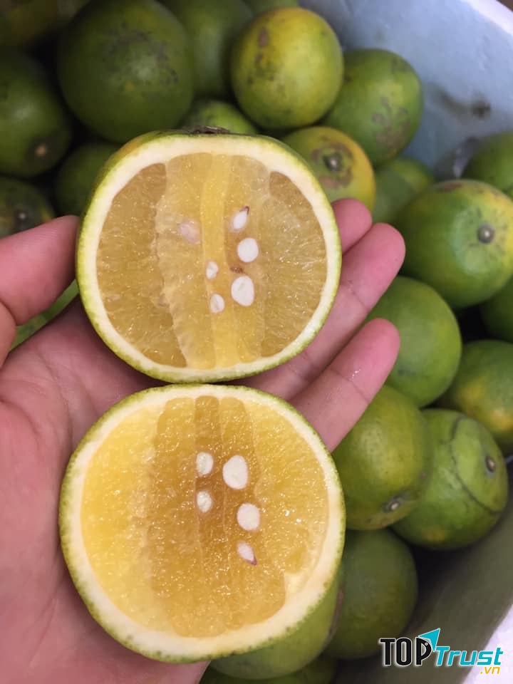 Trái Cây Sạch Tùng Vân