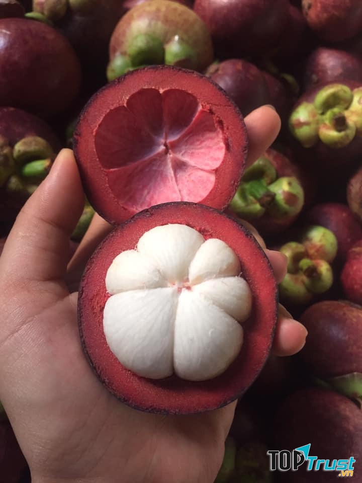 Trái Cây Sạch Tùng Vân