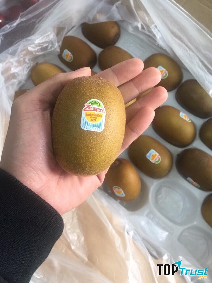 Trái cây sỉ Top Fruit