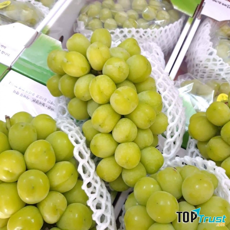 Trái cây sỉ Top Fruit