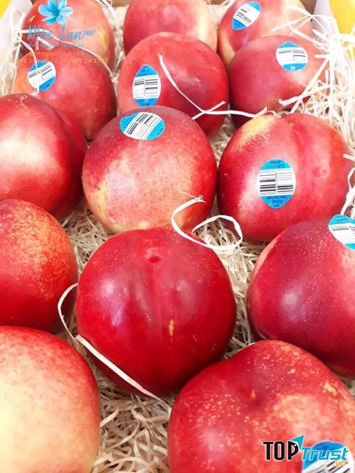 Trái cây theo mùa Mộc Lan