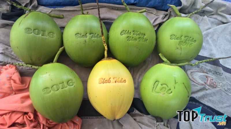 Dừa in chữ chìm