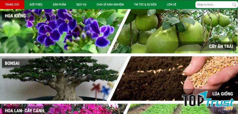 Trại giống cây trồng Đồng Tiến 1
