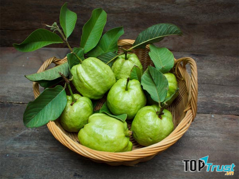Trái Ổi hỗ trợ giảm cân hiệu quả