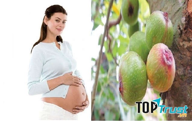 Trái sung thần dược với bà bầu