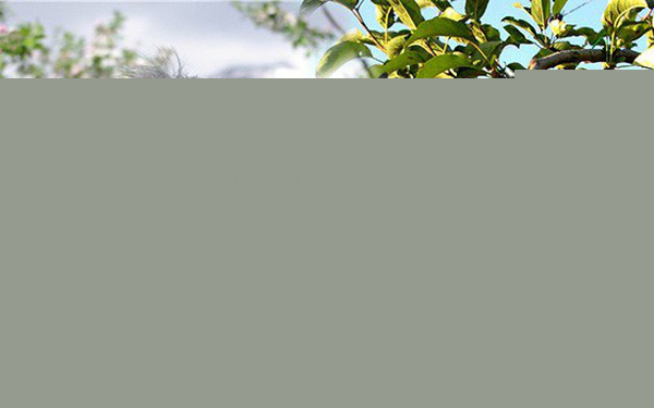 Ảnh minh họa - nguồn internet