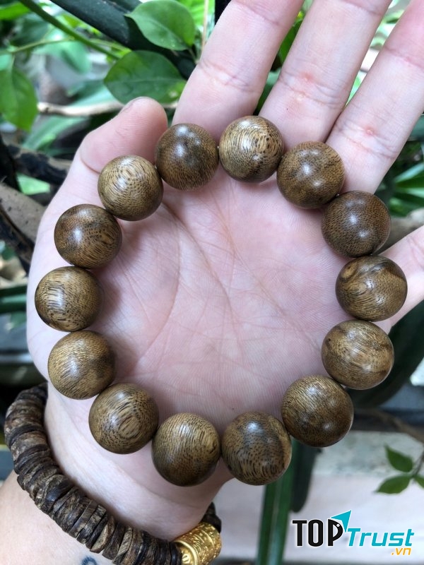 Việt Hương Trầm