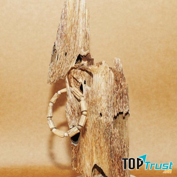 Trầm Hương Phúc Trạch