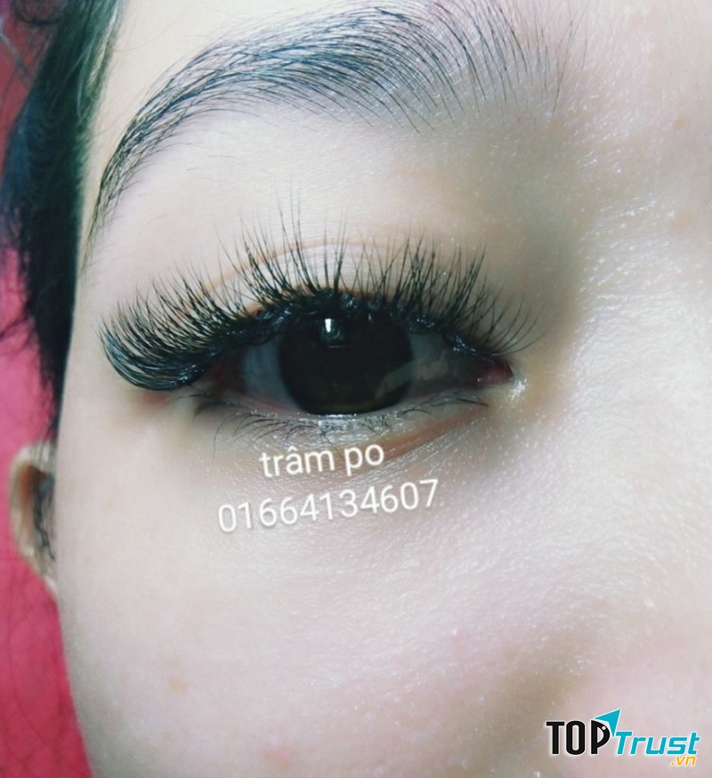 Trâm Po Huỳnh Nối Mi