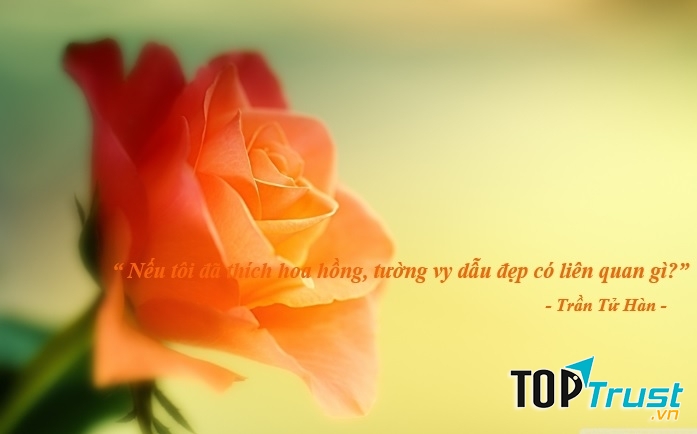 Trần Tử Hàn - Đừng nói với anh ấy là tôi vẫn còn yêu, Lục Xu