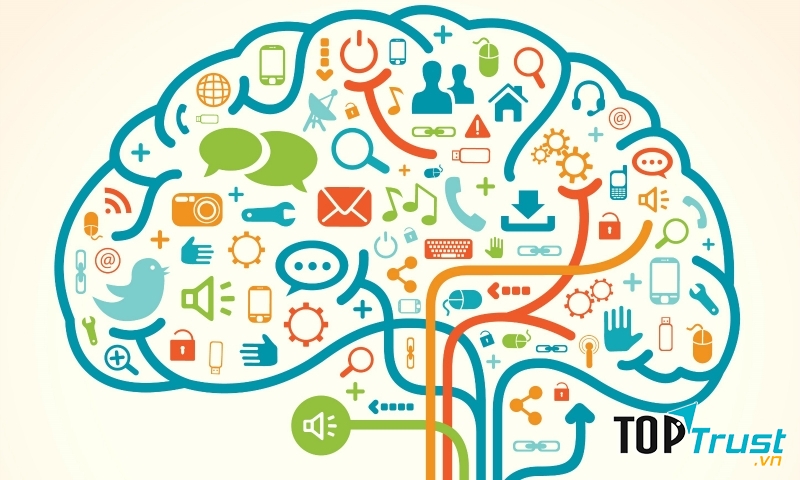 Trang bị phổ kiến thức sâu rộng