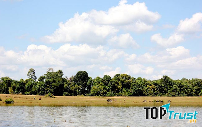 Trảng cỏ Bù Lạch