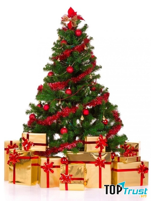 Một cây thông đơn giản thế này cũng đủ khiến không gian Giáng sinh của bạn trở nên an lành, ấm áp
