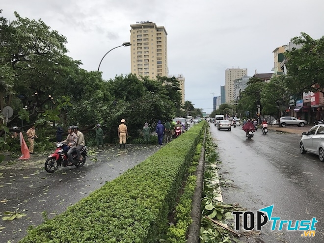 Tránh đi đoạn đường nhiều cây